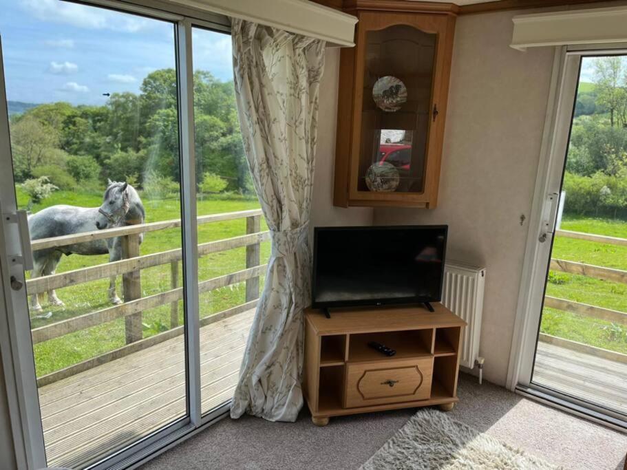 Farm Stay Caravan On Working Farm Dacre  Exteriör bild